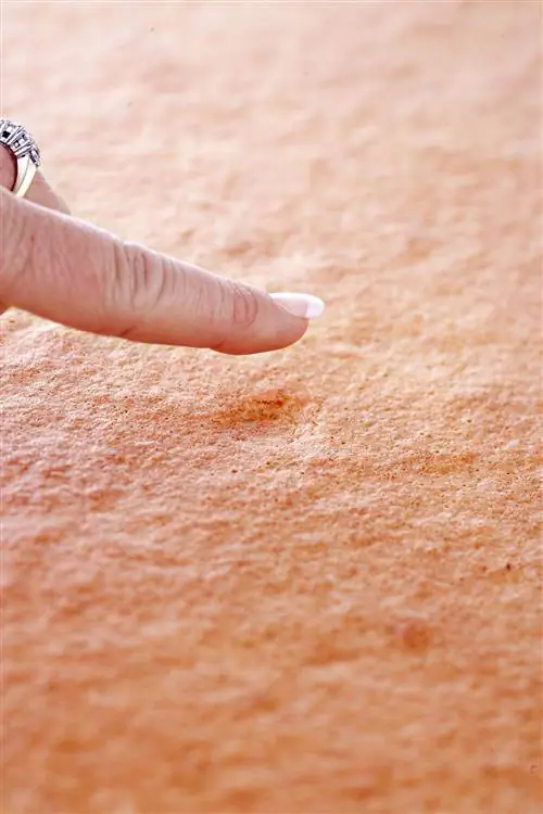 вылить тесто в форму. выпекать форму