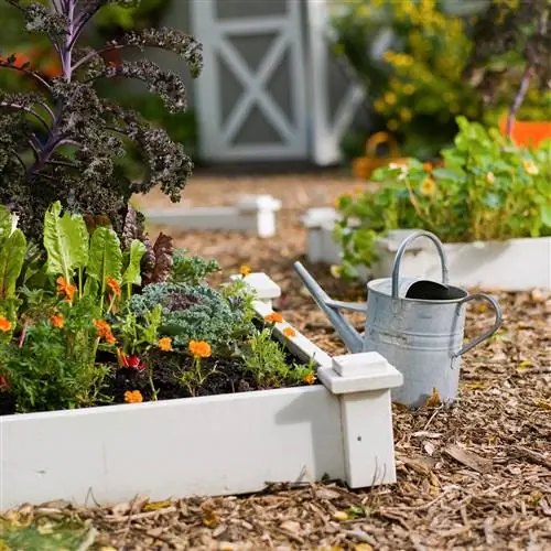 приподнятые грядки