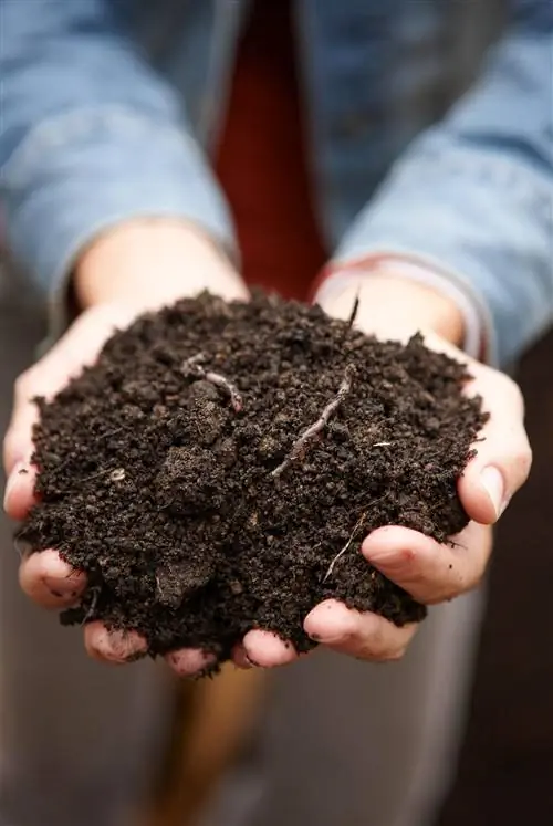 держит почву с червями