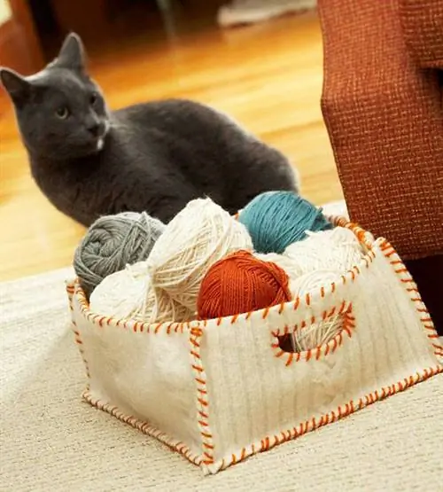 коробка из валяной пряжи, кот
