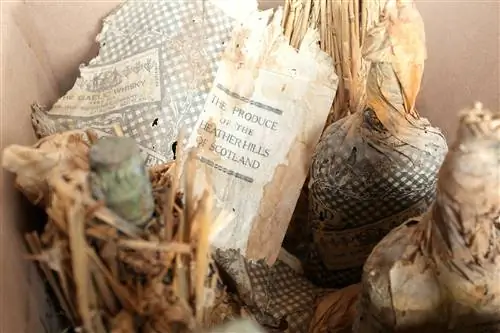 этикетки обернутых бутылок гэльского виски Old Smugglers эпохи сухого закона