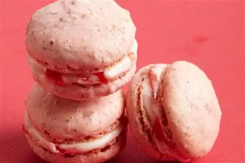 макаронс с начинкой из вишни