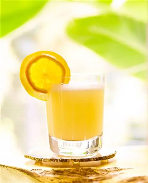 коктейль с долькой апельсина