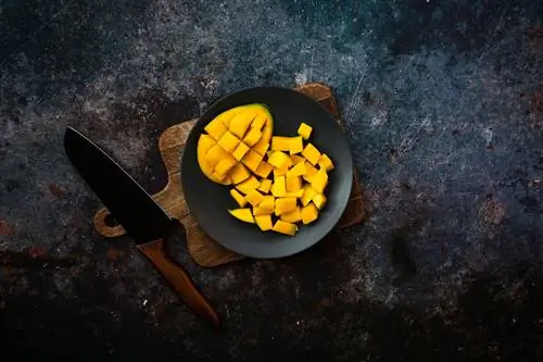 нарезанное кубиками манго
