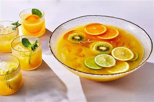 праздничный пунш с ломтиками апельсина и киви
