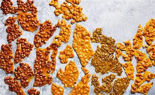 Ореховая ломкость