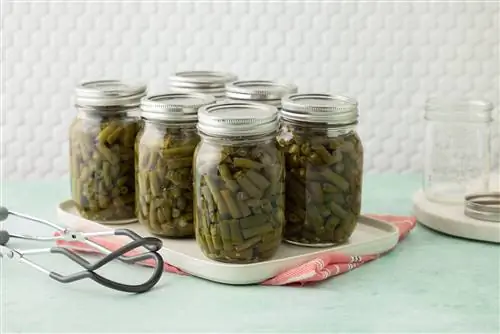 консервированная зеленая фасоль в банках с консервными материалами