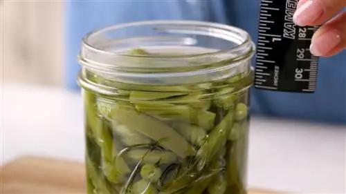 с учетом свободного пространства в консервной банке