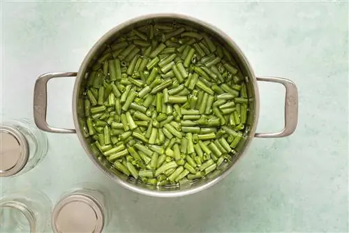 приготовление стручковой фасоли в кастрюле для консервирования и консервирования