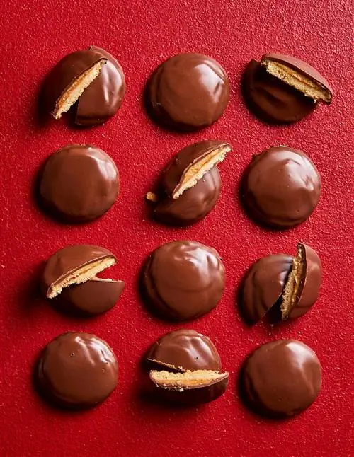 Рецепты печенья для девочек-скаутов, когда не сезон печенья