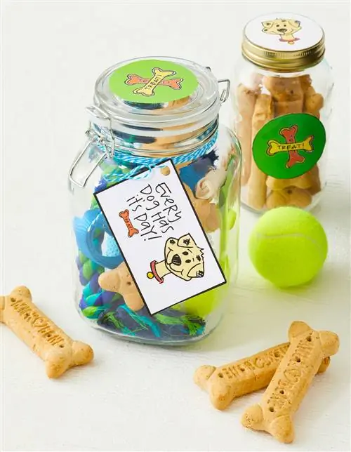 Бирка для подарочной банки DIY Doggie