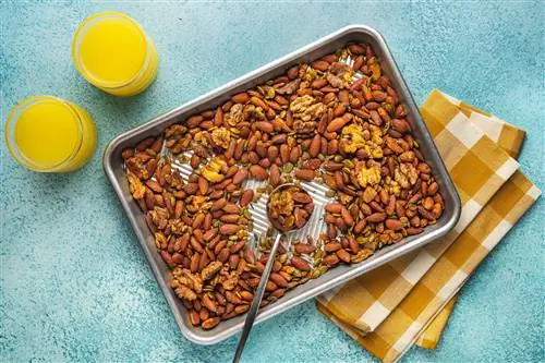 13 сытных высокобелковых закусок, которые зарядят энергией после обеда