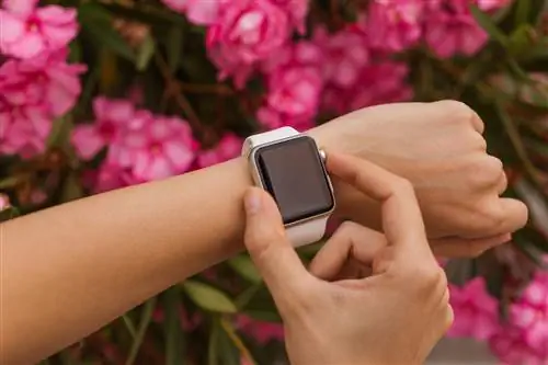 Как почистить ремешок Apple Watch