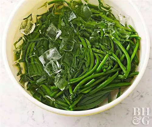 Погружая зеленую фасоль в ванну со льдом, чтобы бланшировать зеленую фасоль