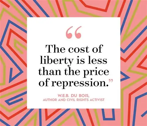 web du bois цитата на многоцветном фоне