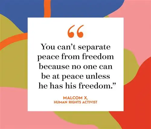 malcom x цитата на многоцветном фоне