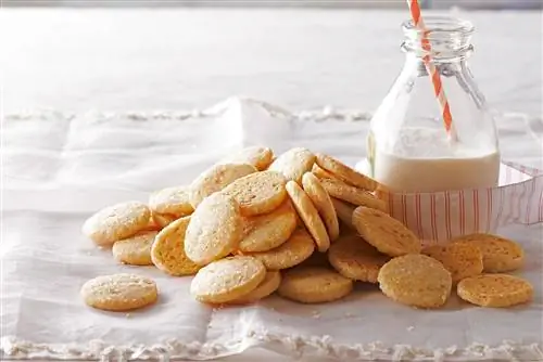 Засахаренное имбирное и апельсиновое печенье из холодильника в куче с молоком в бутылке