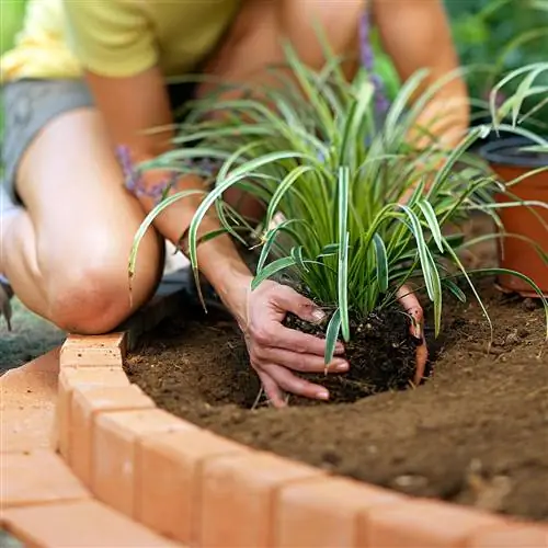пышные кирпичные бордюры место посадки почвенные растения