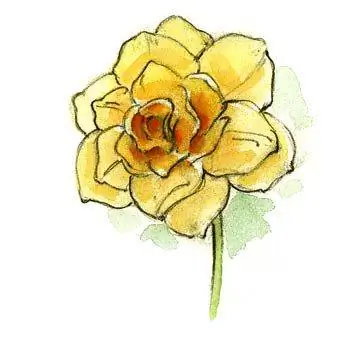 гостиная с несколькими окнами