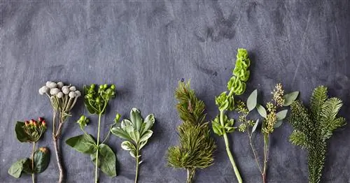 срезать зелень на сланцевой поверхности