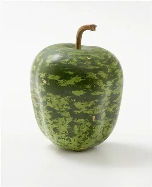 яблочная тыква на белом фоне