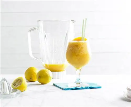 Стакан для блендера Фраппе с персиком на гриле