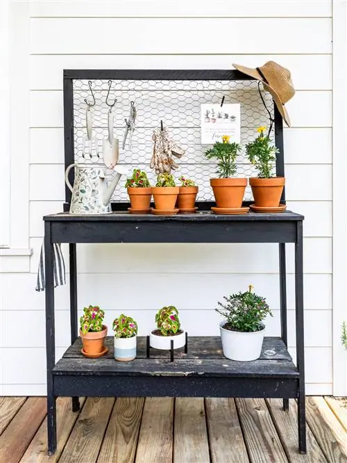 Ассортимент растений на деревянной подставке