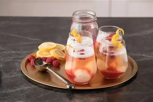 Шампанское-сорбет поплавок