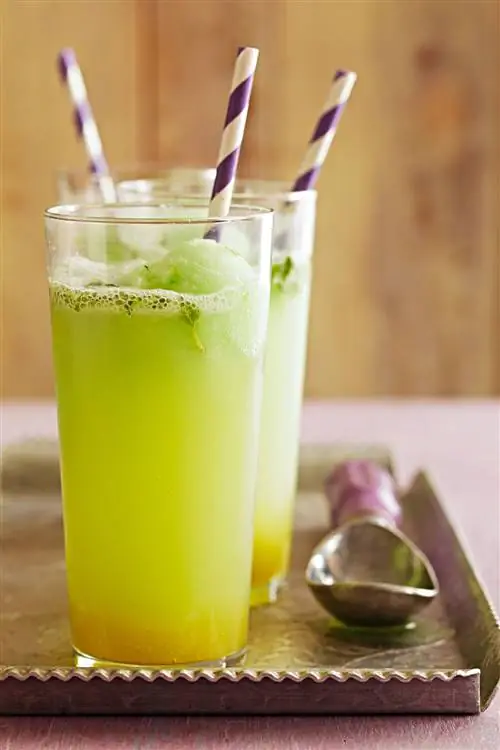 Поплавки с имбирем и мятой и лаймом