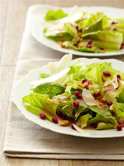 Зеленый гранатовый салат