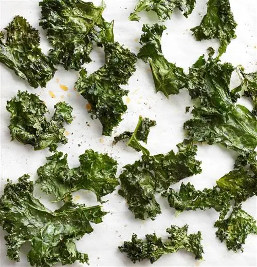 Фритюрница Кале Чипсы