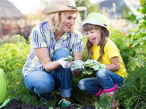 Театр растений Funky Veg Garden Starter Kit Театр растений Funky Veg Garden Starter Kit