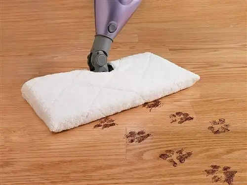 Покупатели бросают свои швабры в пользу этой впечатляющей паровой швабры Shark, и она продается со скидкой