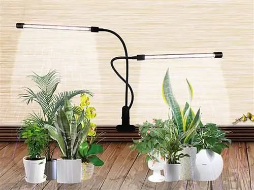 Gooingtop Grow Light
