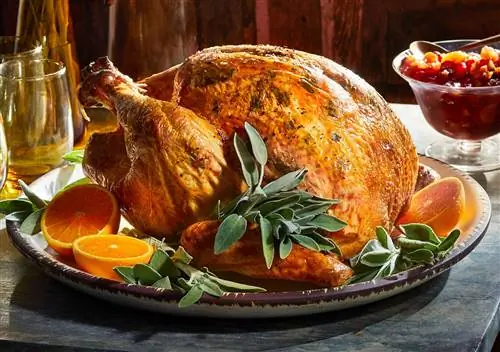 Жареная индейка с цитрусовыми и шалфеем