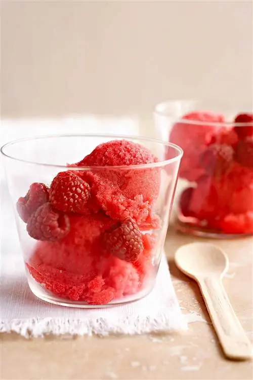 Малиново-грушевый сорбет