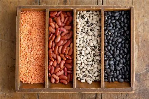 Деревянная корзина для фасоли и чечевицы