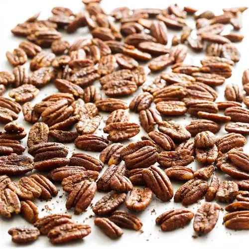 Пекан с пятью специями