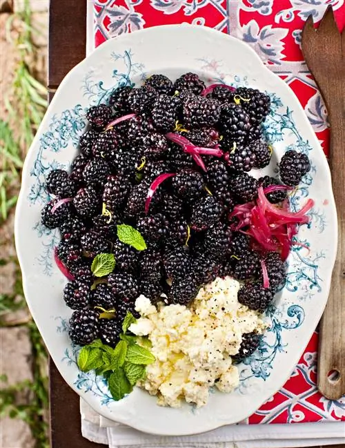 11 продуктов с антиоксидантами, которые стоит добавить в список продуктов прямо сейчас