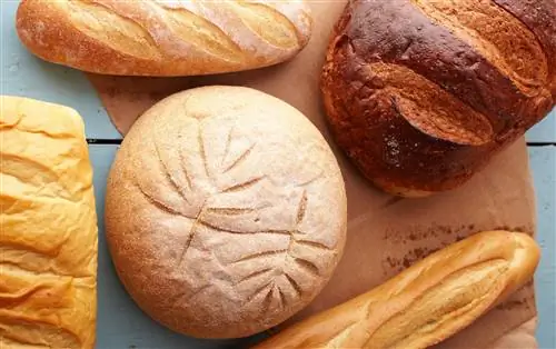 5 продуктов, вызывающих воспаление, по мнению диетологов