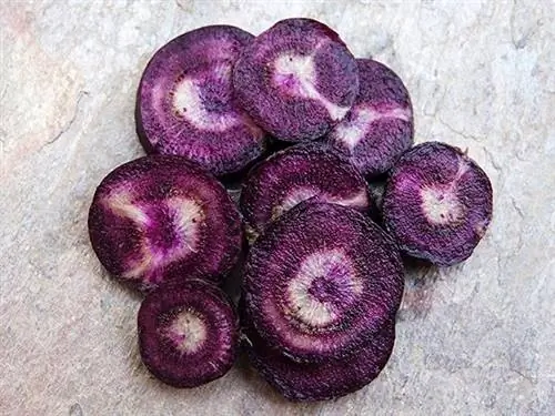Ломтики моркови Black Nebula с белыми центрами в куче на каменной столешнице