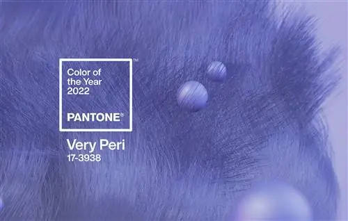 Цвет 2022 года по версии Pantone Very Peri Цвет 2022 года по версии Pantone Very Peri