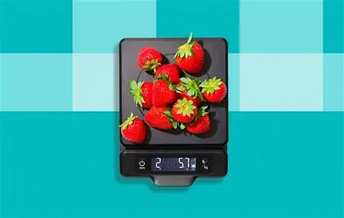 взвешивание клубники на кухонных весах oxo 5lb на бирюзовом фоне