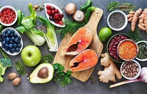 Что такое макросы? Мы объясняем, как сбалансировать потребление питательных веществ