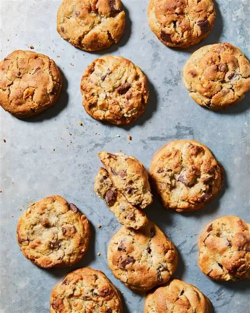 Печенье с шоколадной крошкой на противне