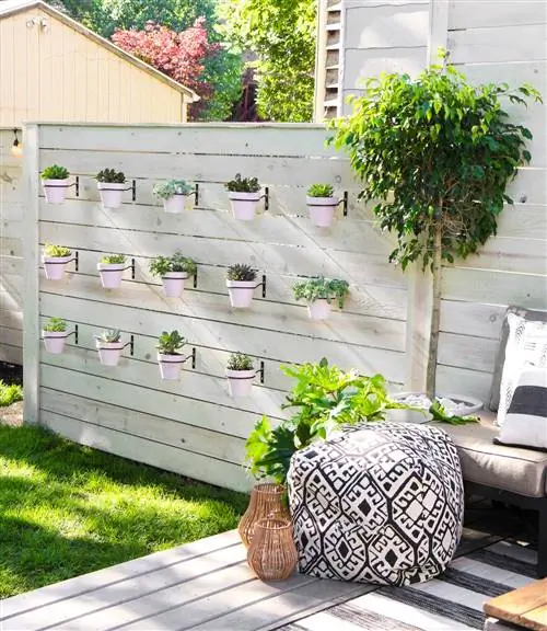 отдельные растения на заборе