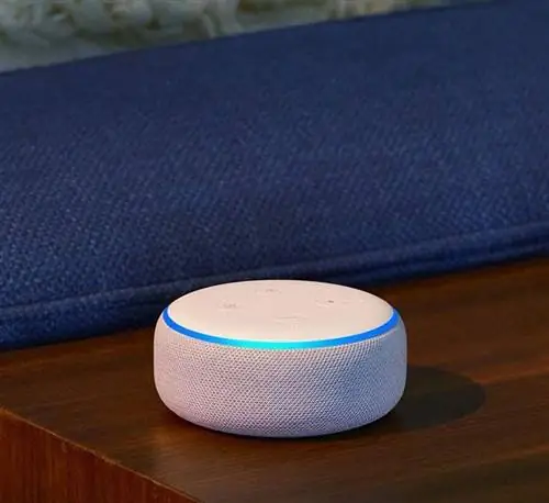 амазонка алекса