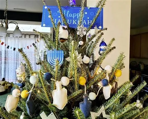 Почему одна семья каждый год украшает ханукальное дерево