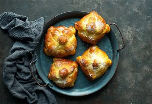 Что такое Pan de Muerto? Узнайте об этом дне мертвого хлеба