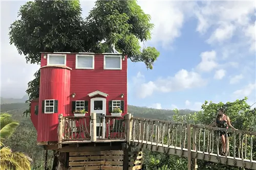 Дом на дереве El Yunque View